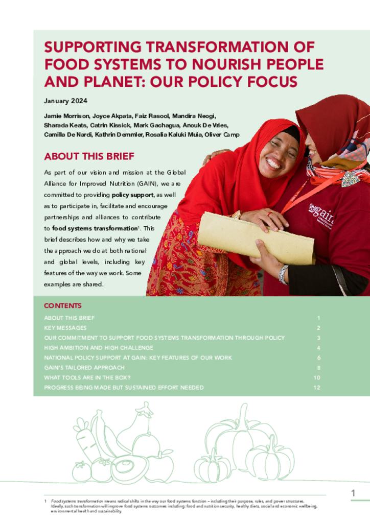 Supporting Transformation of Food Systems to Nourish People and Planet: Our Policy Focus
