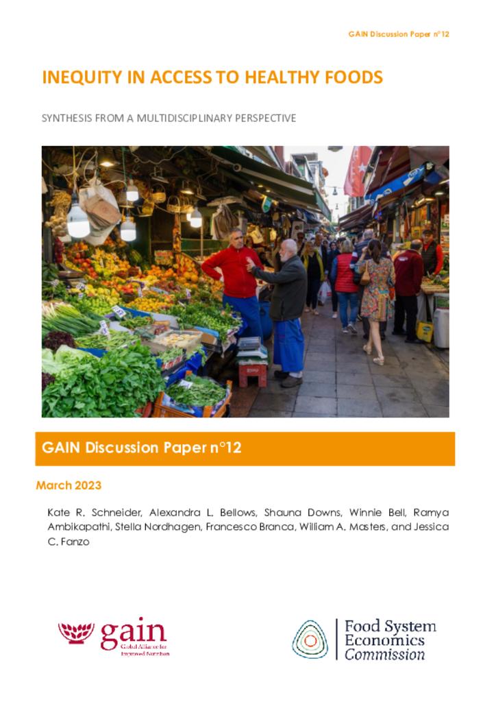 GAIN Discussion Paper Series 12 - Inequity in access to healthy foods
