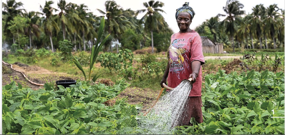 Rwanda Is Embracing A Food Systems Approach To Improved Prosperity