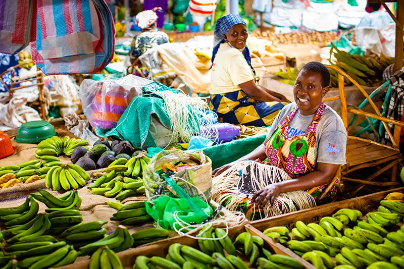 Food Systems Countdown Initiative Country-Level Monitoring
