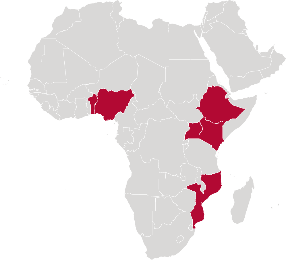 Africa map showing GAIN A1 programme countries
