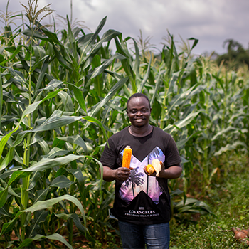 a man in a field with a bushel of corn