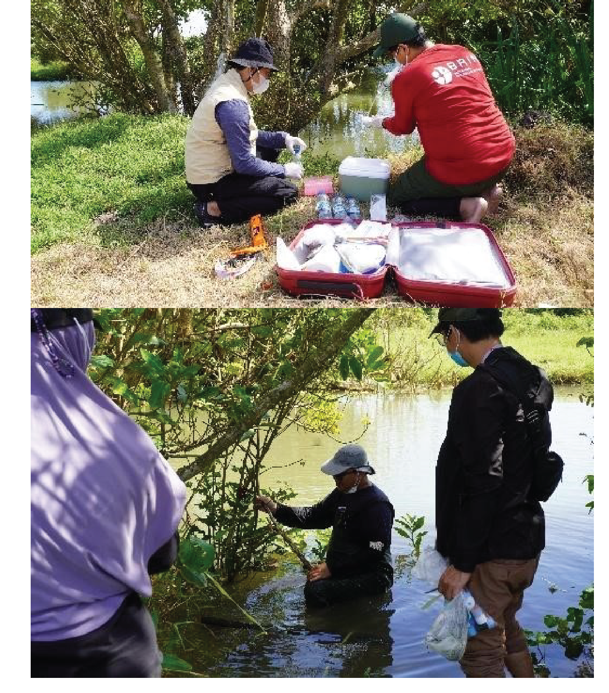 Initial Ecological Assessment