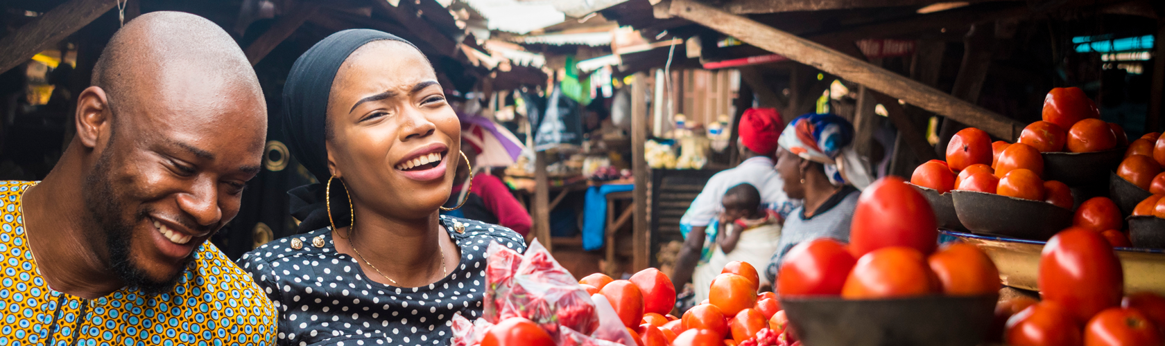 Achieving the SDGs through Food Systems Transformation - On the Road to the Food Systems Summit in 2021