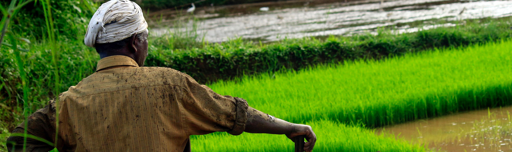 International Tropical Agriculture Conference - TROPAG 2019