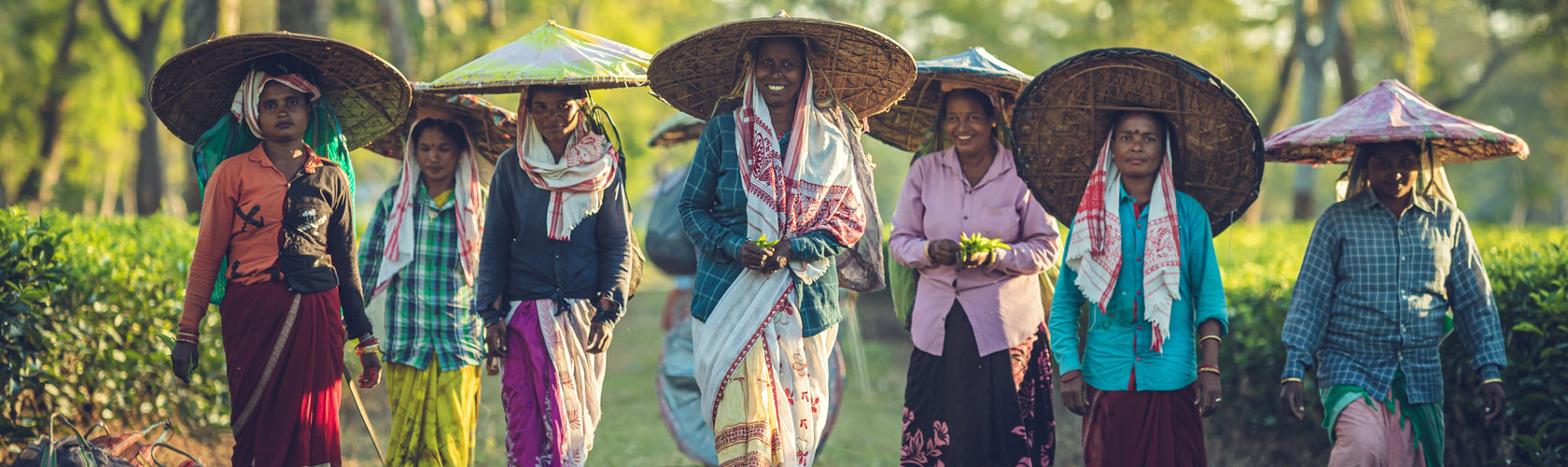 B20 - Global Dialogue on Food Systems Transformation