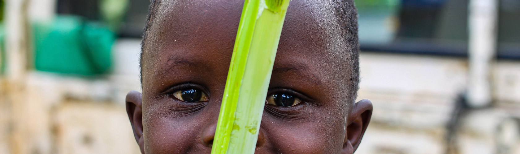 Unleashing the Full Power of Large-Scale Food Fortification: A Renewed Commitment