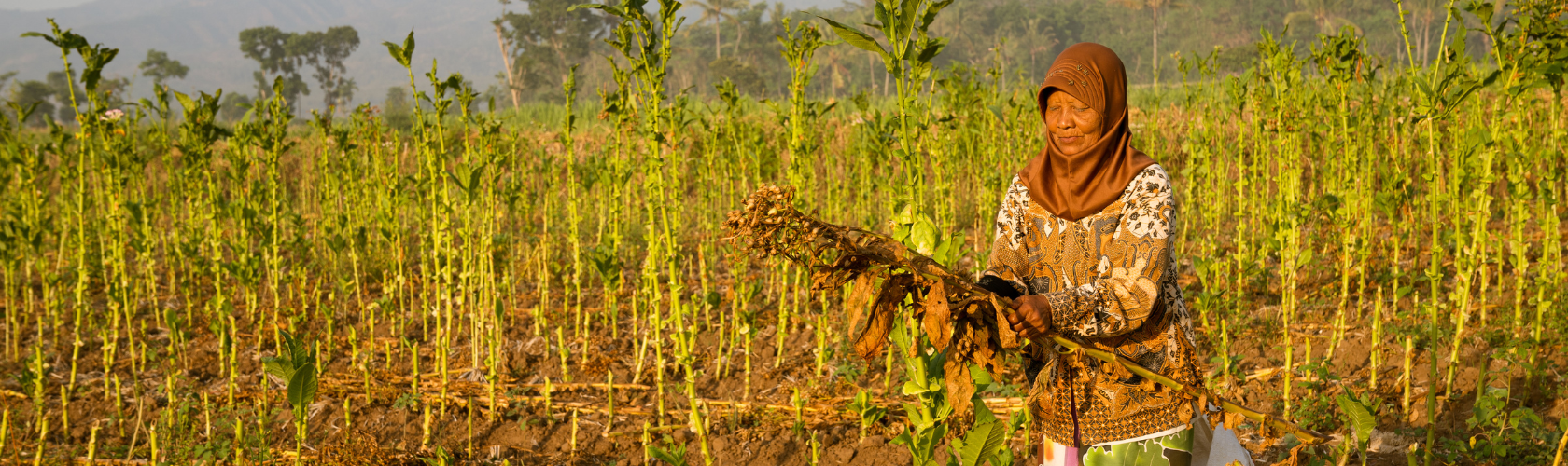 Webinar: COP28 – what does it mean for Nutrition in Emergencies Practitioners?