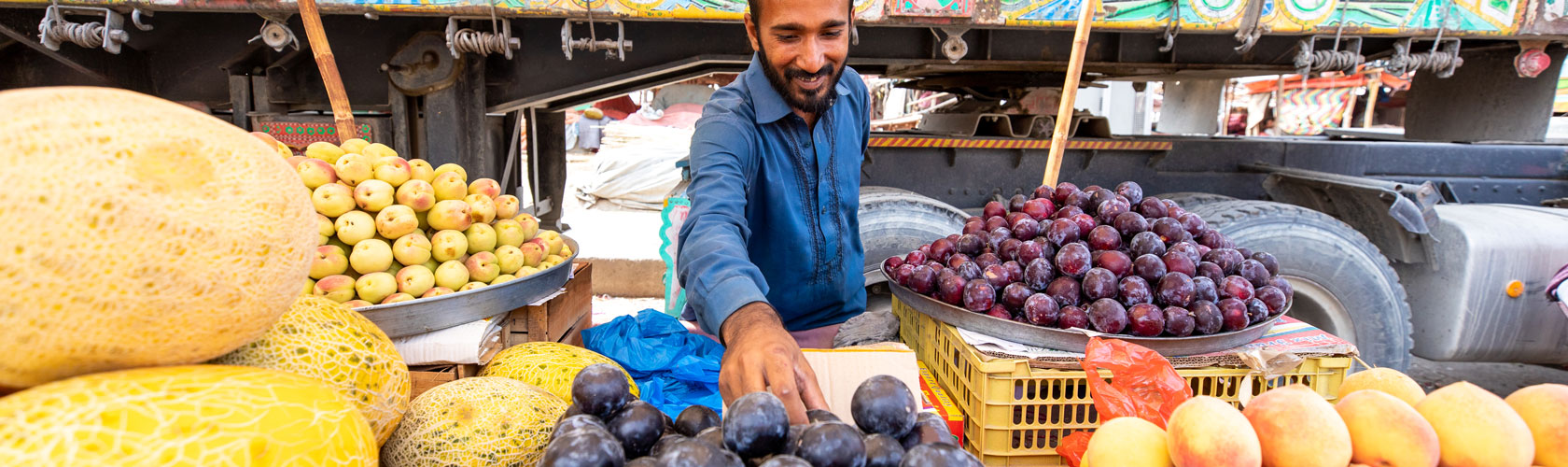 Rigorous monitoring is necessary to guide food system transformation in the countdown to 2030 global goals and beyond