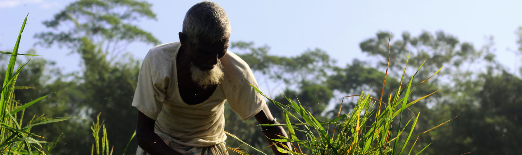 Advancing equitable access to nutrition for all food systems workers