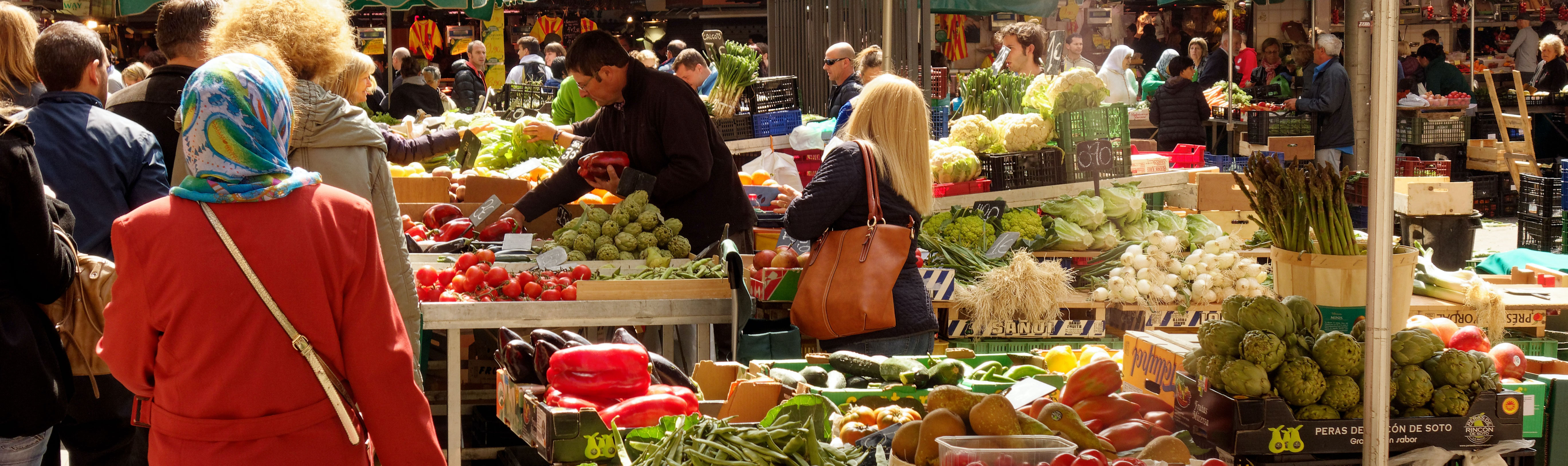 Growing Food Systems Solutions for our Climate Future.