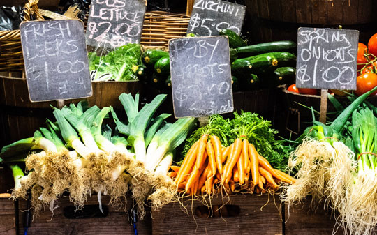 A food systems approach for better nutrition and planetary health - Vimarsana News