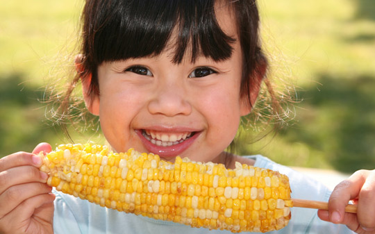 UN Food Systems Summit Action Track 1 - Vimarsana News