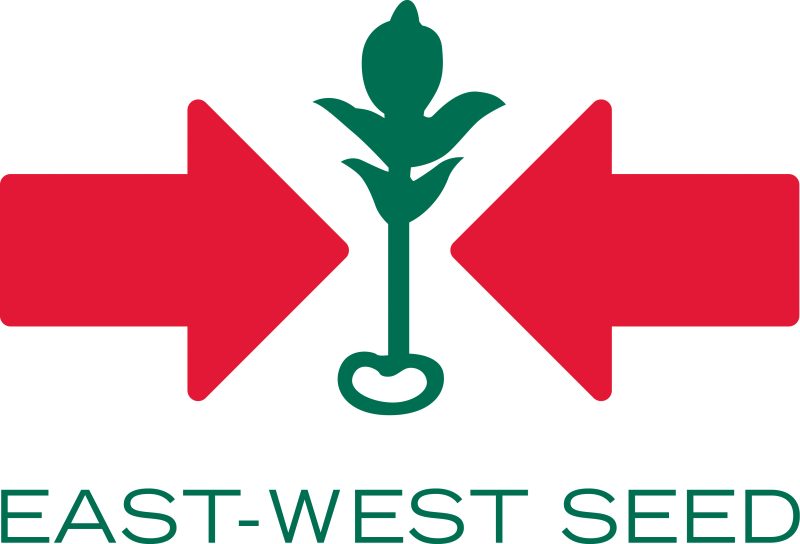 EWS logo