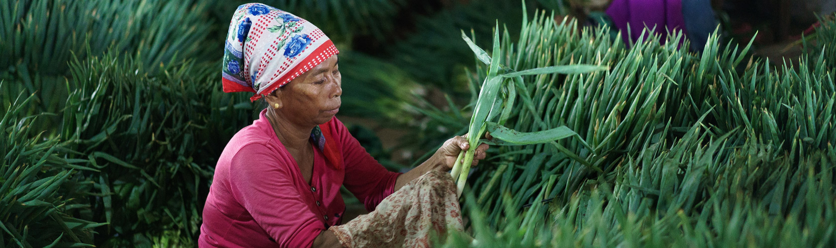 Mobilising Knowledge related to Public-Private actions in nutrition