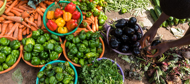 Different vegetables on display on colorful crates