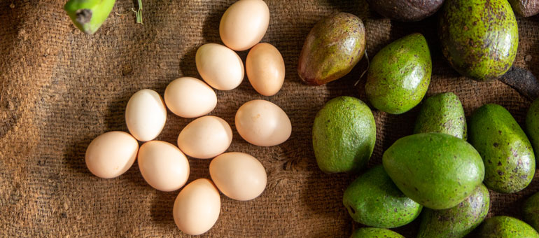 Eggs and avocadoes