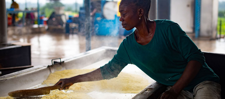 Woman processing maize