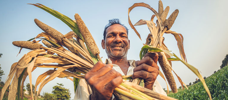 A man with a handful of millet crops