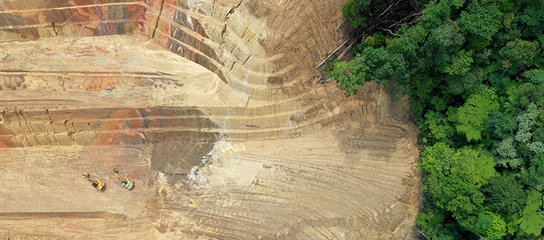 Deforestation in rainforest