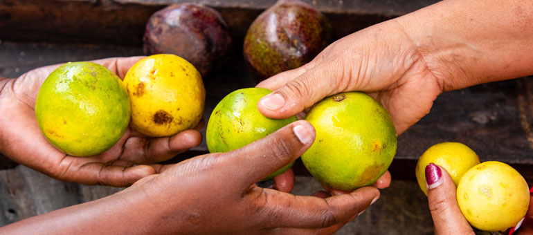 Hands passing lemons