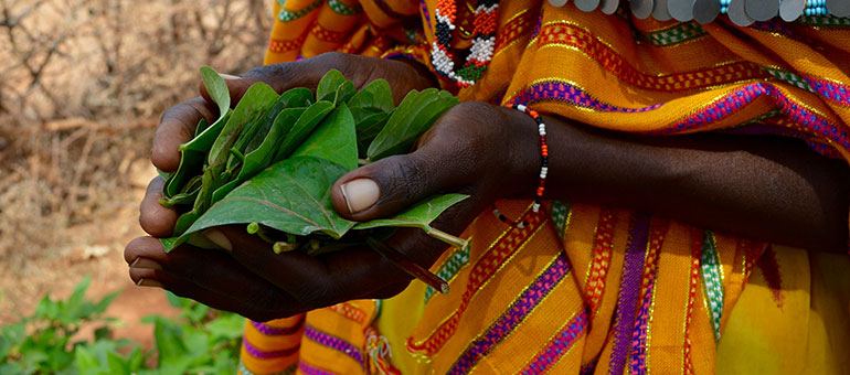 Kenyan woman holding leaves in her hands