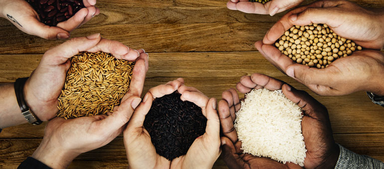 Different hands holding staple foods