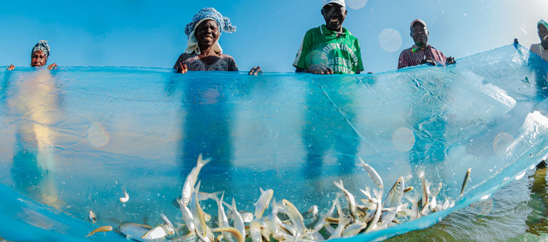 People fishing in Mozambique