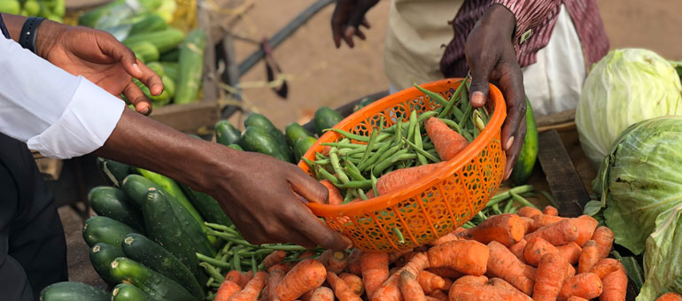 Spotlight on hands passing basket with carrots and green beans