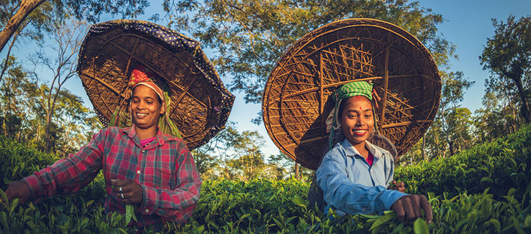 Two female tea pickers smiling in India