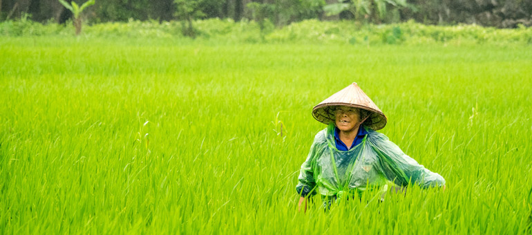 Woman in the field smiling