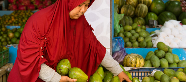 Woman picking avocadoes