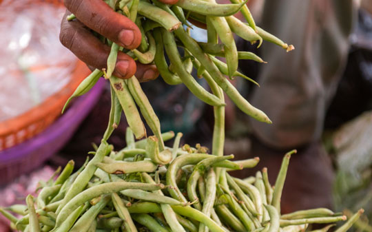 Calling all students, researchers, entrepreneurs, and innovators passionate about food safety and/or nutrition to help make food safer in Ethiopia and in Nigeria! - Vimarsana News