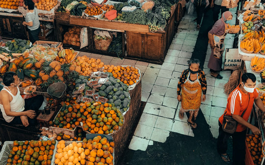 Food systems actions: charting the pathway through complexity - Vimarsana News