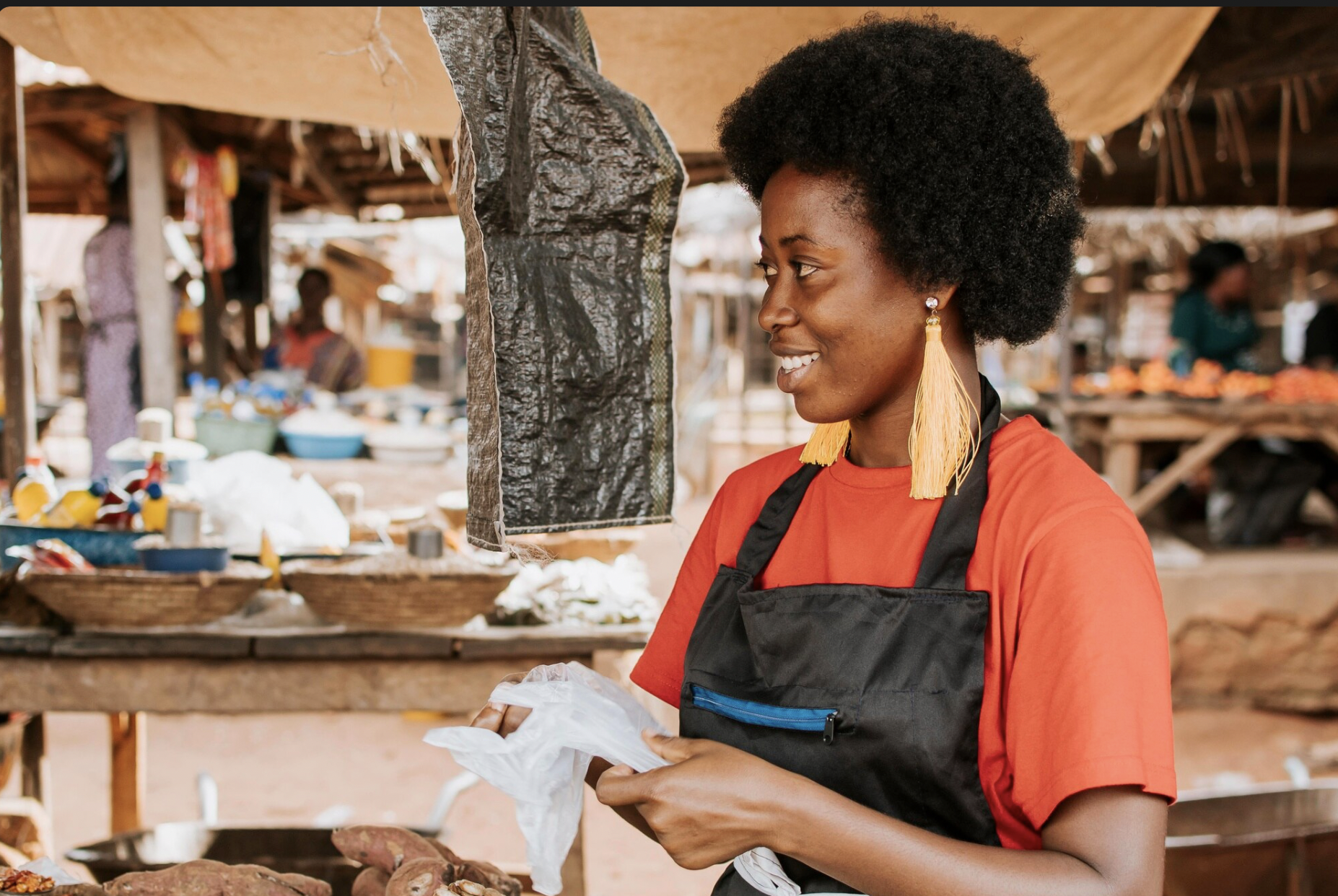 Business Engagement at UNFSS+4: The Experience of GAIN supported MSMEs (Interview with Nneka)