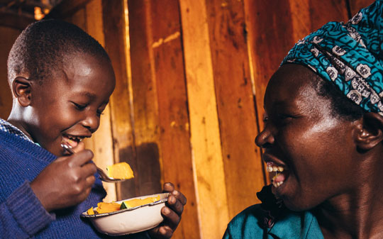 Serving nature and nutrition: GAIN and WWF team up to improve food systems - Vimarsana News