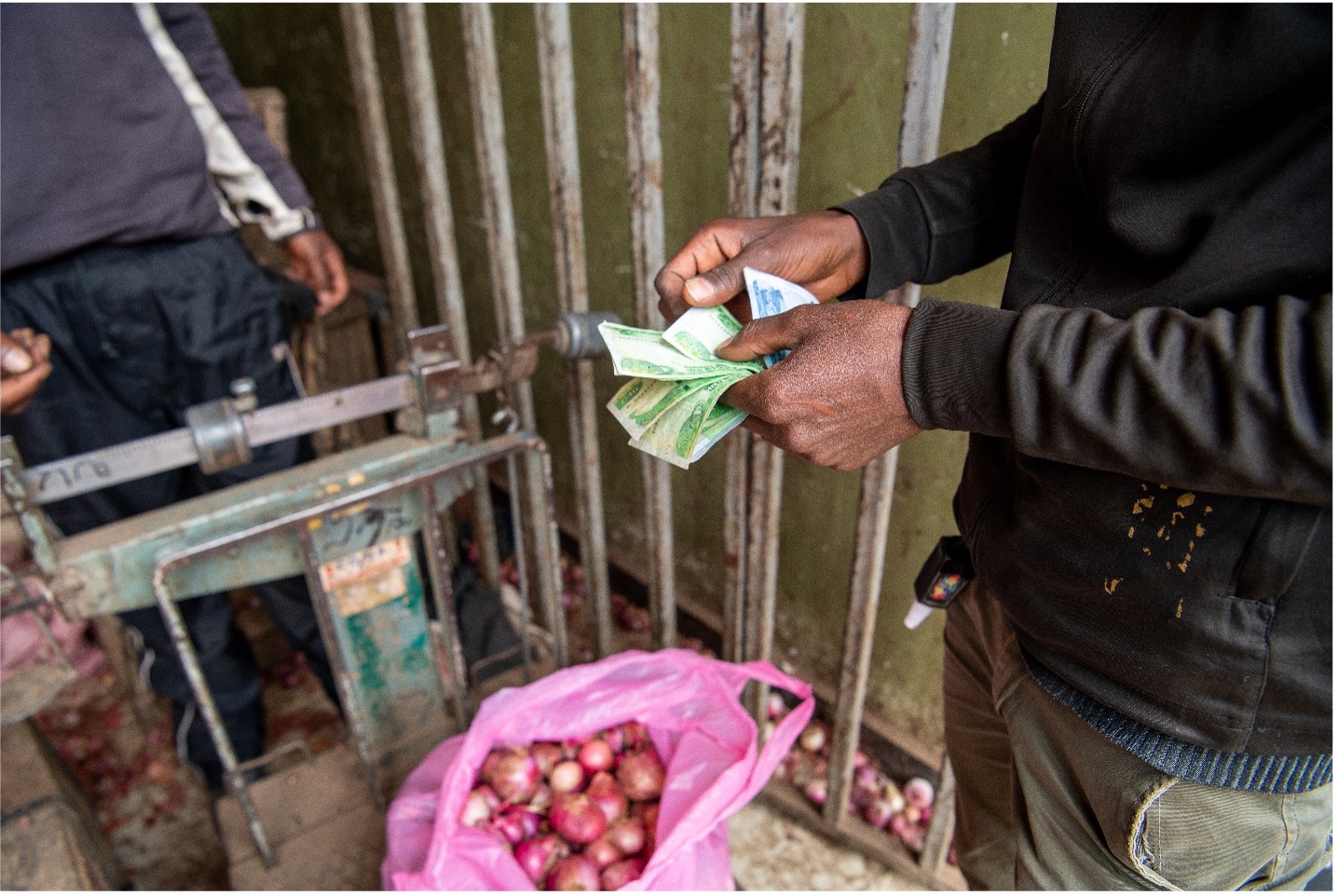 GAIN Working Paper n°56:Coping With Rapid Increases in Food Prices: Insights From Urban Ethiopia