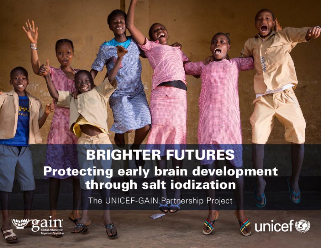 Brighter futures protecting early brain development through salt iodization 2018