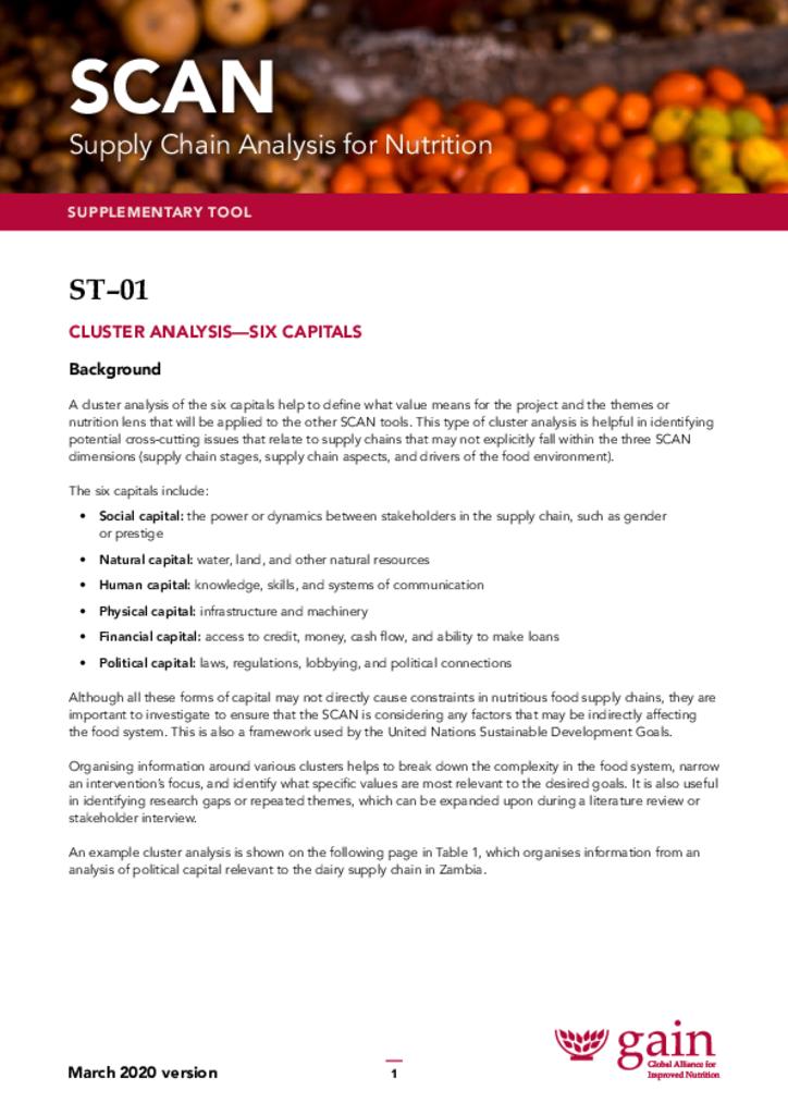 Supply Chain Analysis for Nutrition (SCAN) ST1 sub-tool cluster analysis – six capitals 