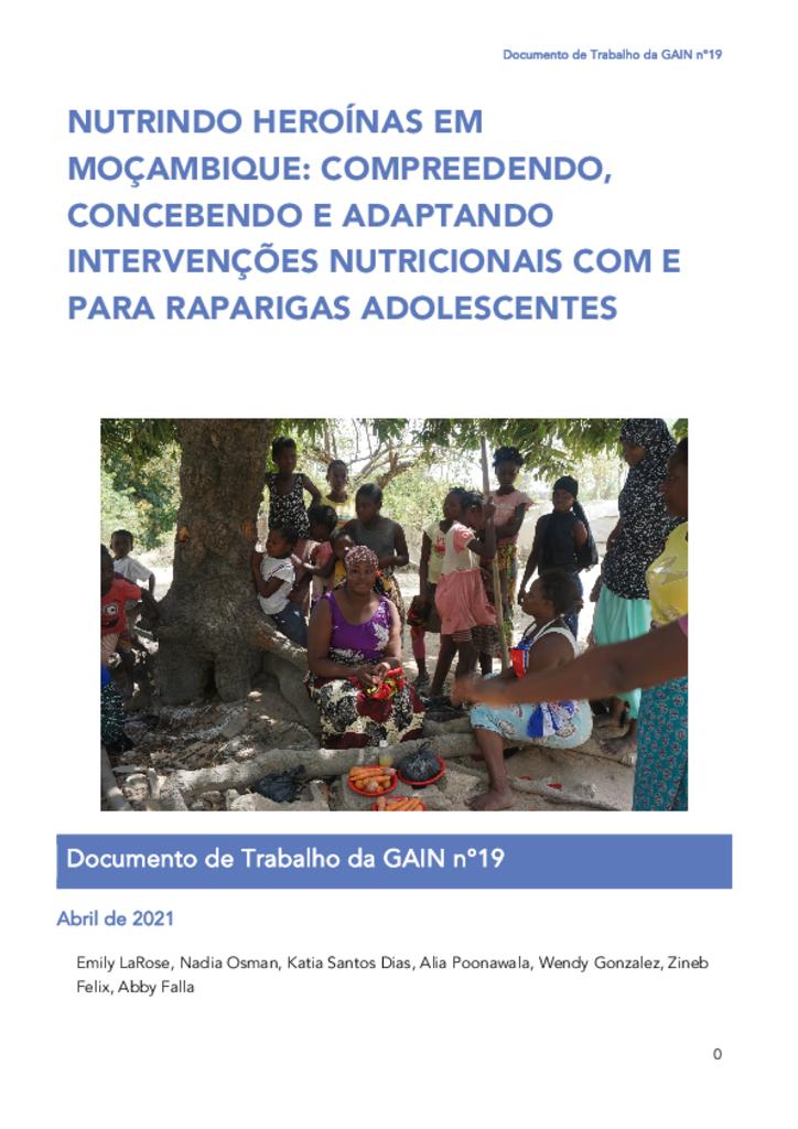 documento de trabalho da GAIN 19 nutrindo heroinas em mocambique-compreedendo,concebendo…