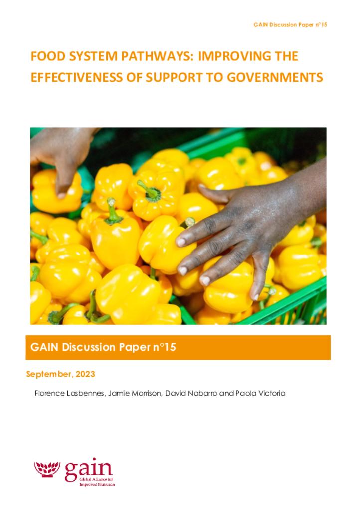 GAIN Discussion Paper Series 15 - Food System Pathways: Improving the Effectiveness of…