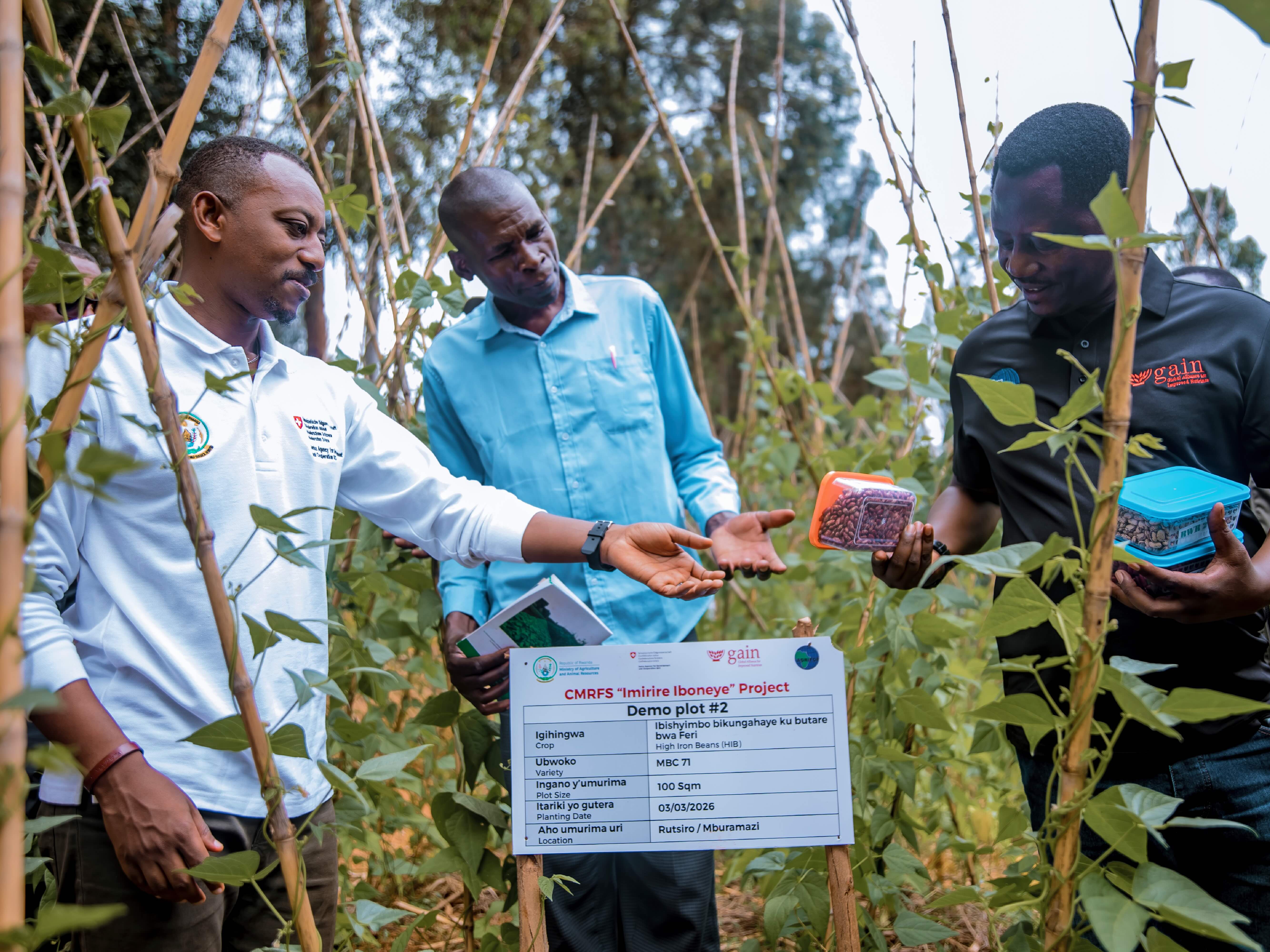 Rwanda programme activity photo 2