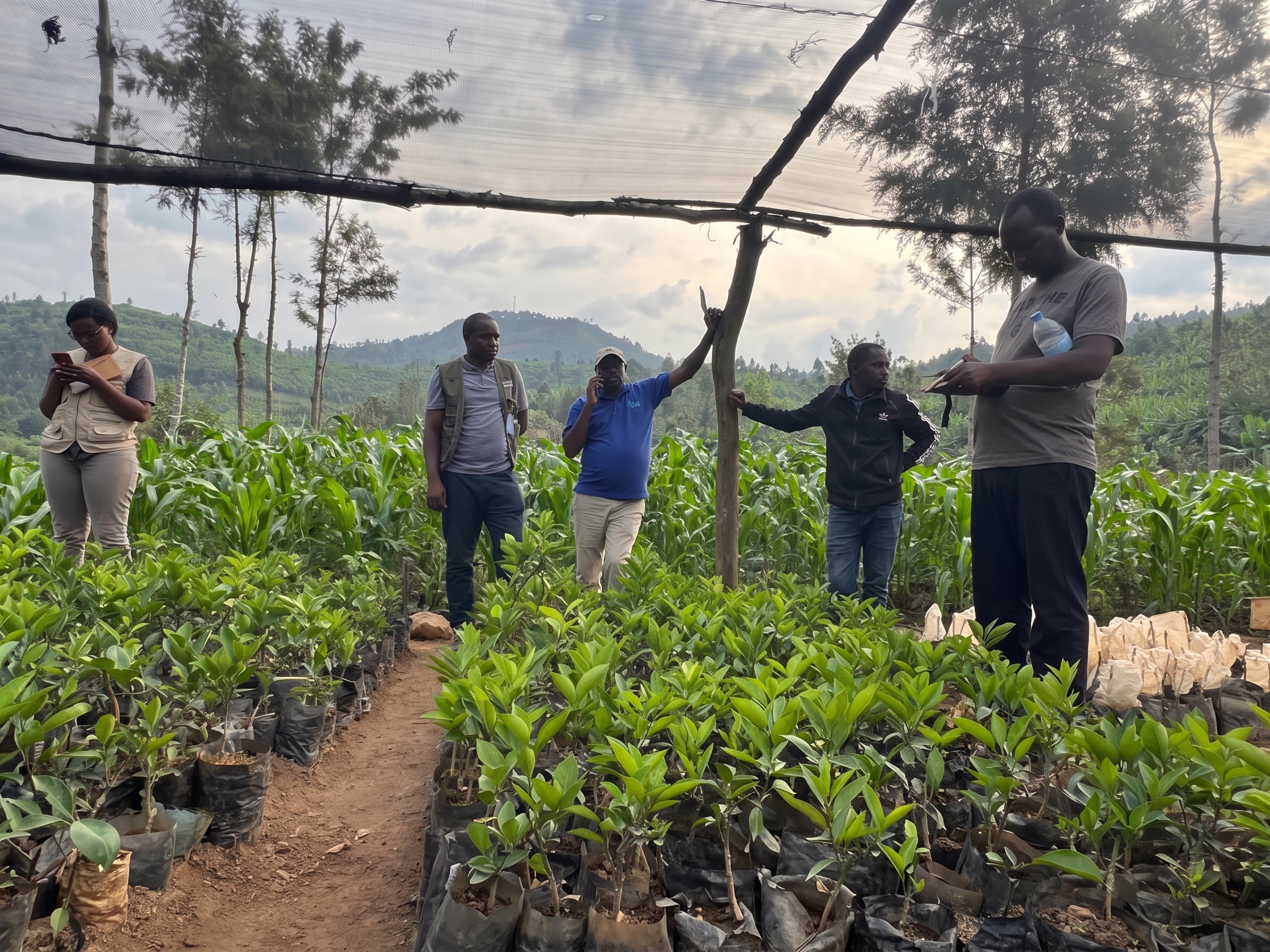 Rwanda programme activity photo 3