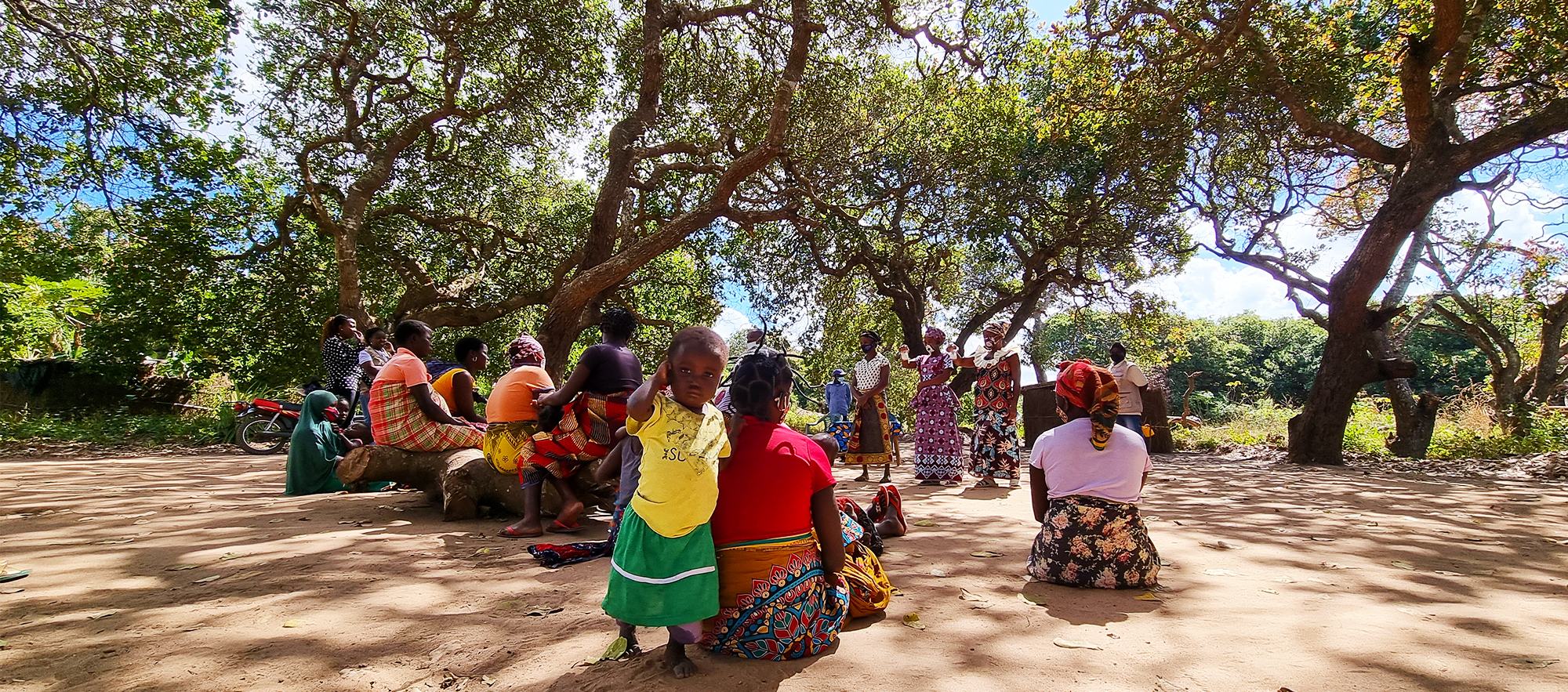 Women attending the EmoDemoSession in Mozambique