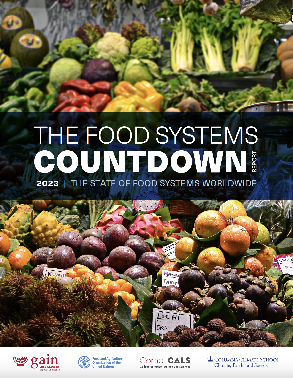 The Food System Countdown Policy Report