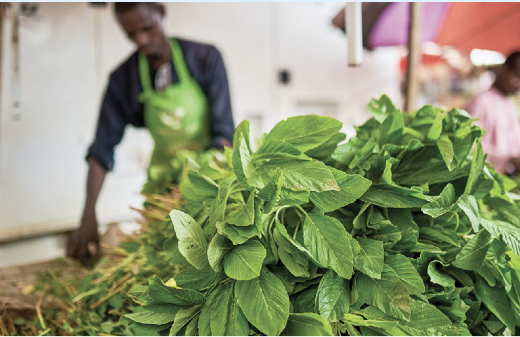 Food Systems Countdown Initiative Country Policy Brief Nigeria