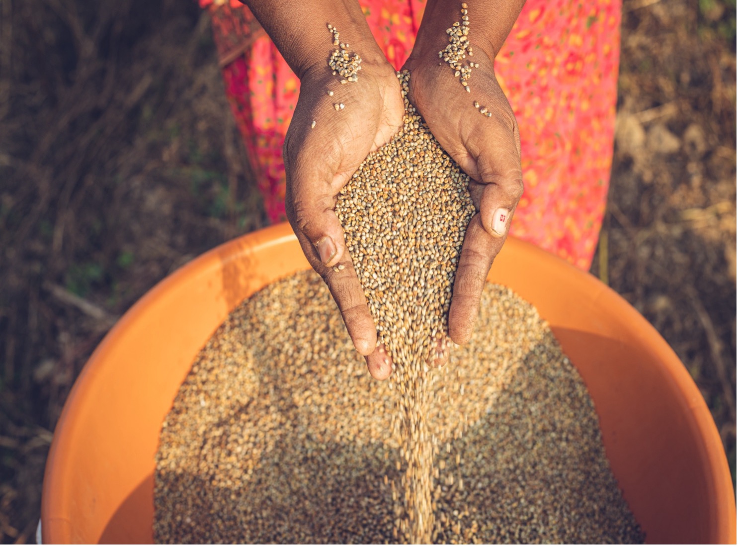 GAIN Convening Paper n°21: Identifying Indicator Needs For Food System Transformation in South And Southeast Asia 