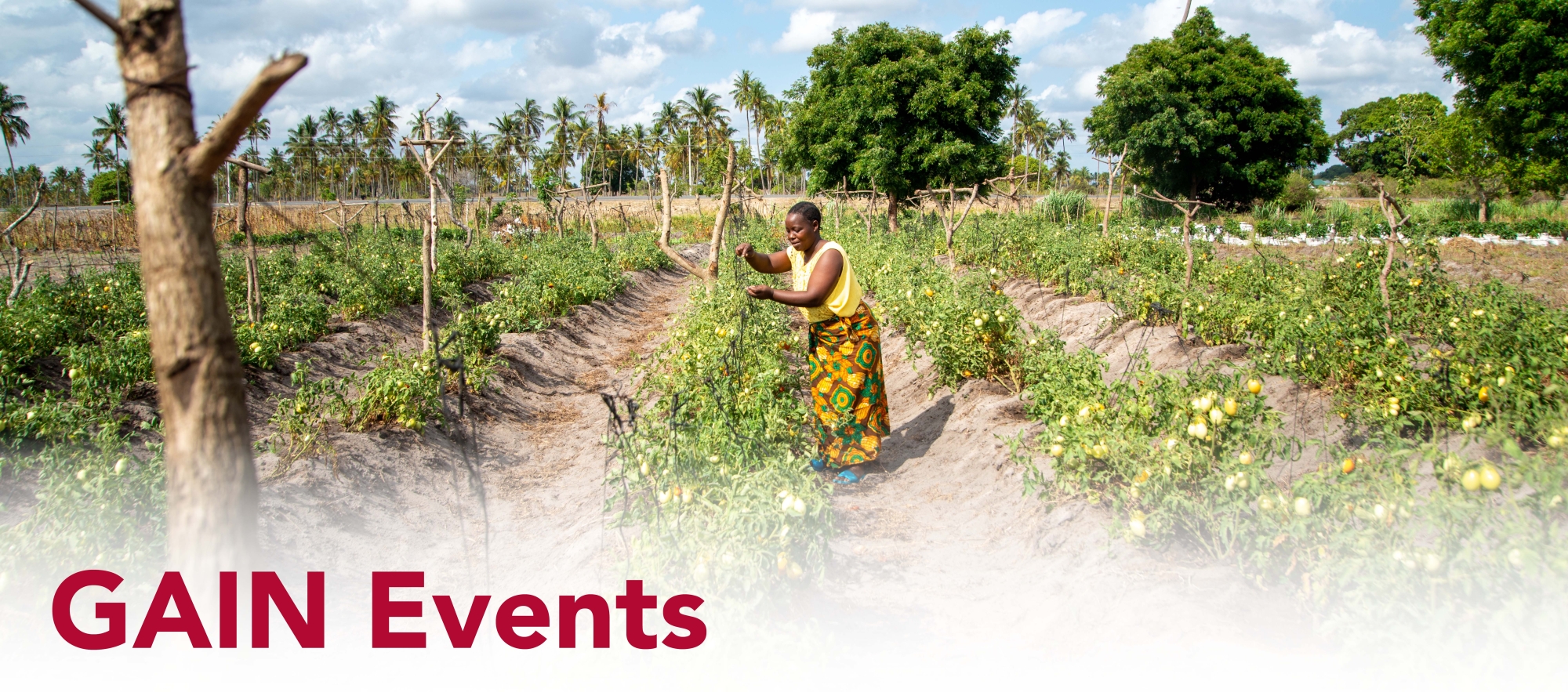 a woman tending crops with the words GAIN Events 