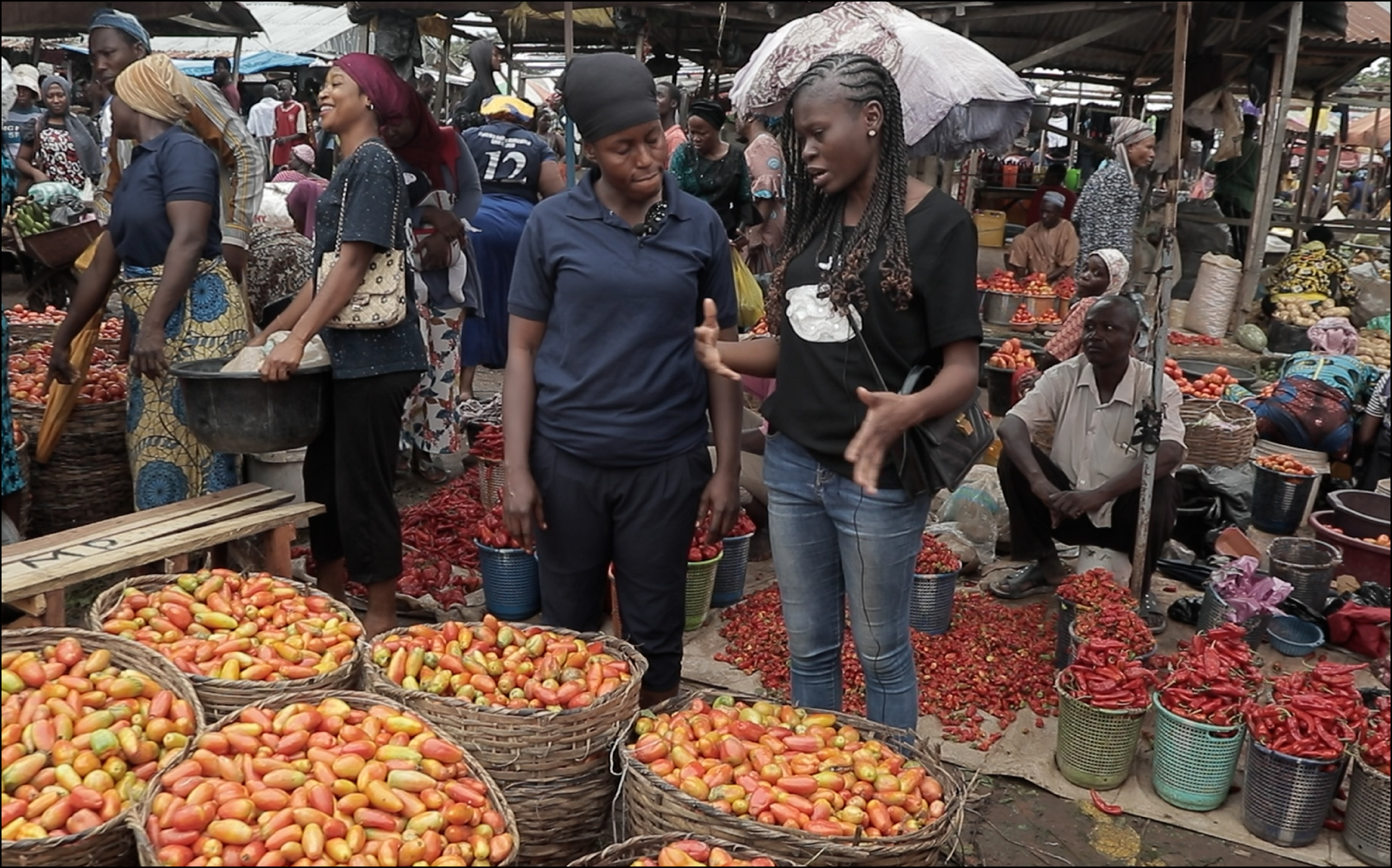 Food Safety Attitudes and Practices in Traditional Markets in Nigeria ...