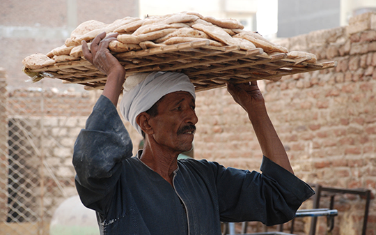 Coverage and Utilization in Food Fortification